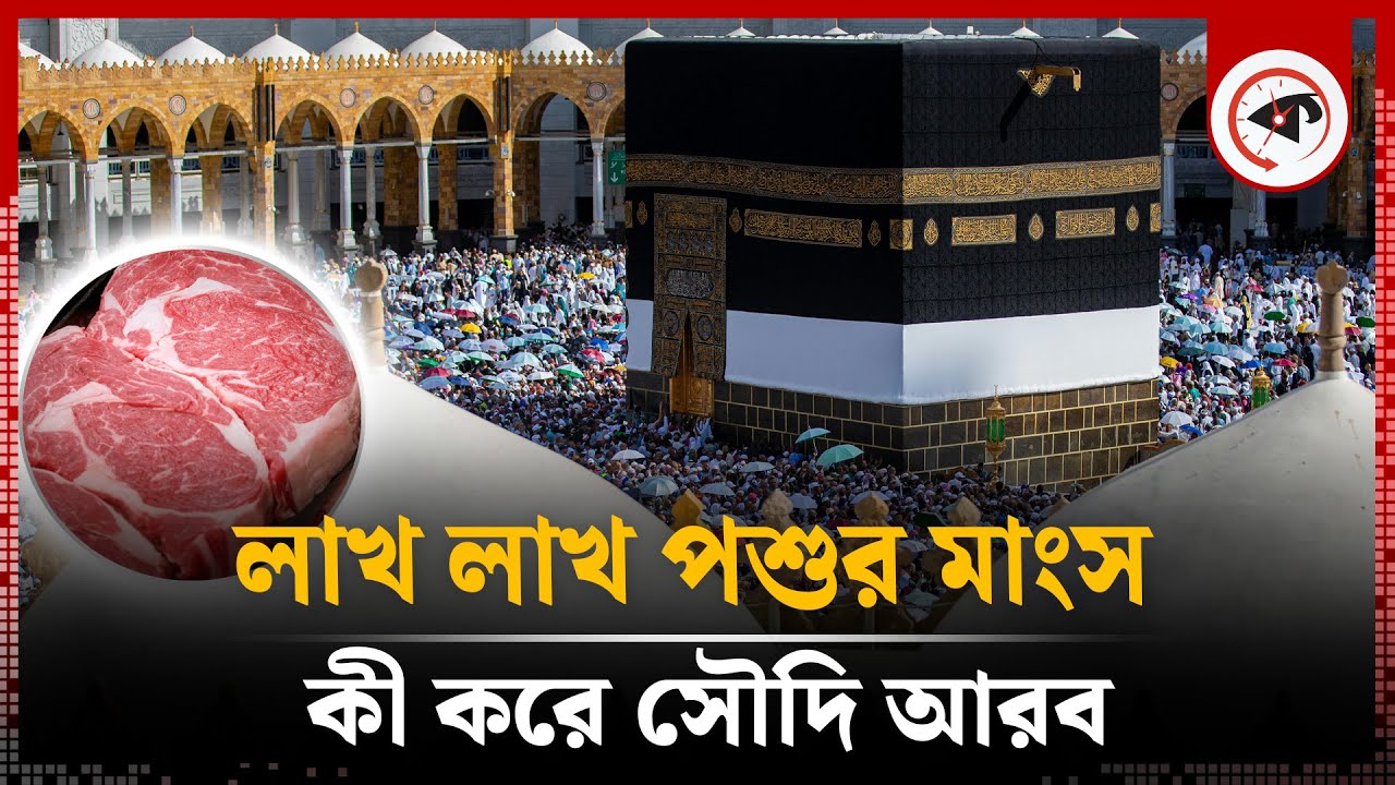 হজ শেষে লাখ লাখ পশুর মাংস কী করে সৌদি আরব | Qurbani Meat on Hajj | Eid al-Adha | Kalbela
