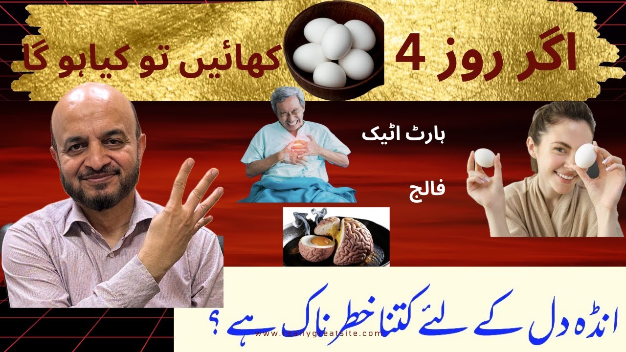 Benefits of eggs|| ande dil ke liye kitne khatarnaak hein 