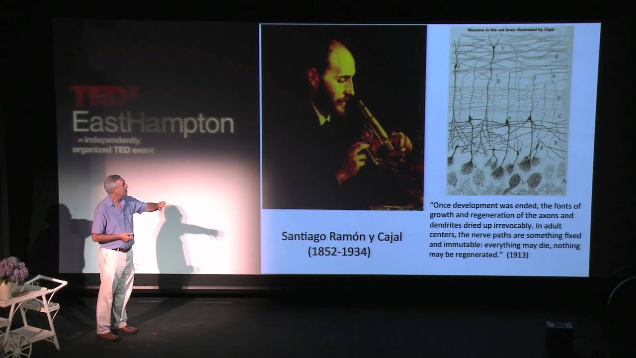 TEDxEastHampton - Пол Руссин о неврологии сновидений