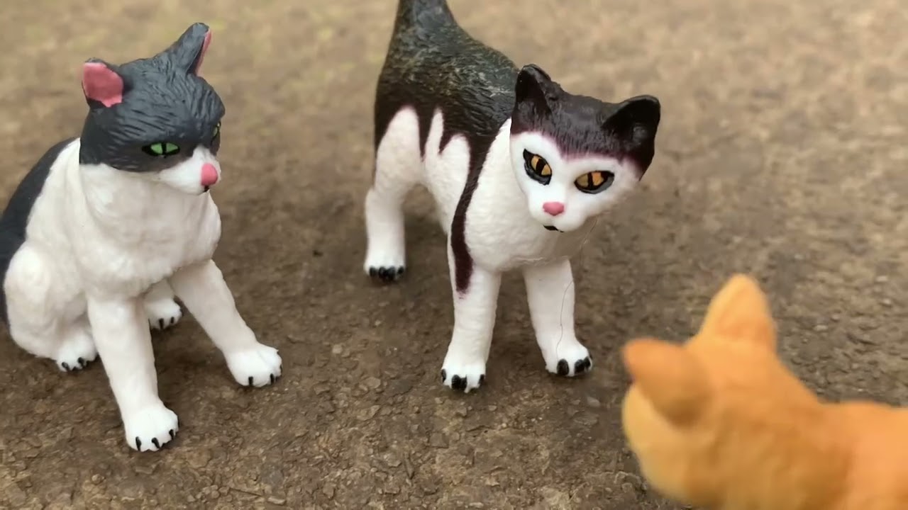 ((Warrior Cats))Schleich cat))