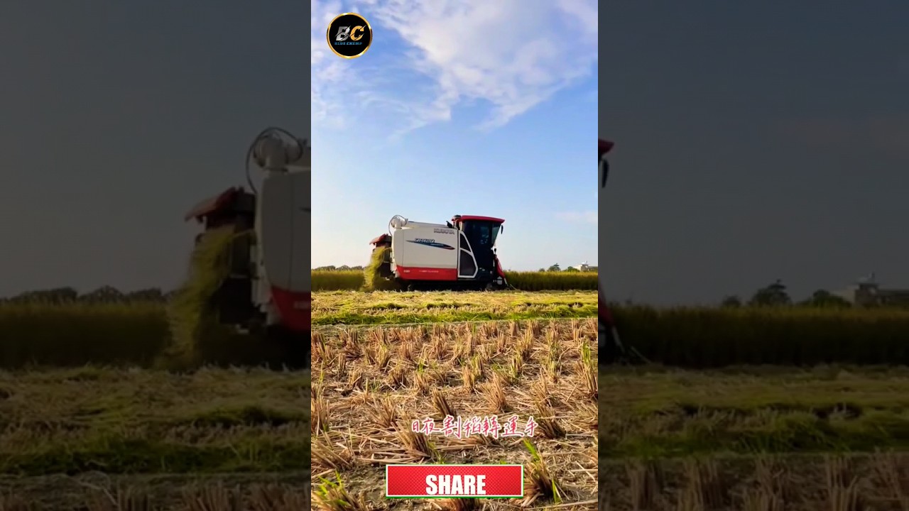 Kubota DR120 combine harvester #shorts #kubota #agriculture #short