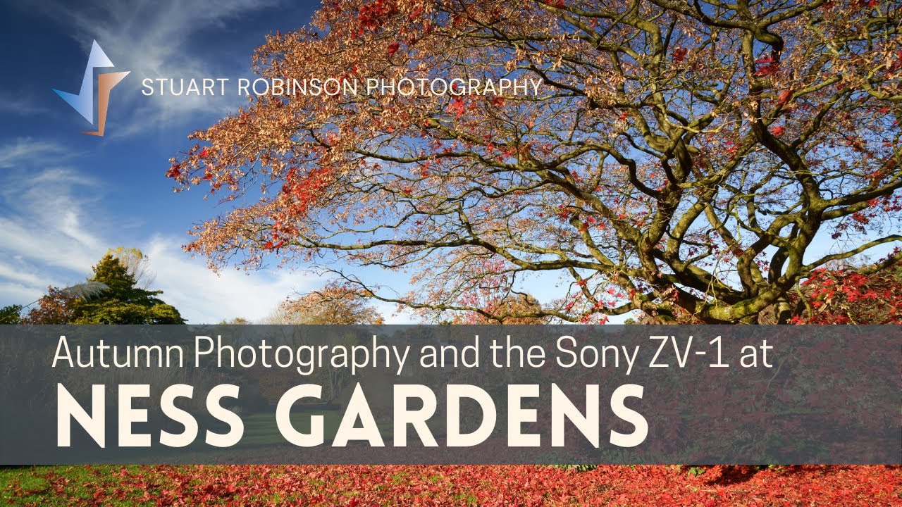 Autumn Photography and the Sony ZV-1 at Ness Gardens