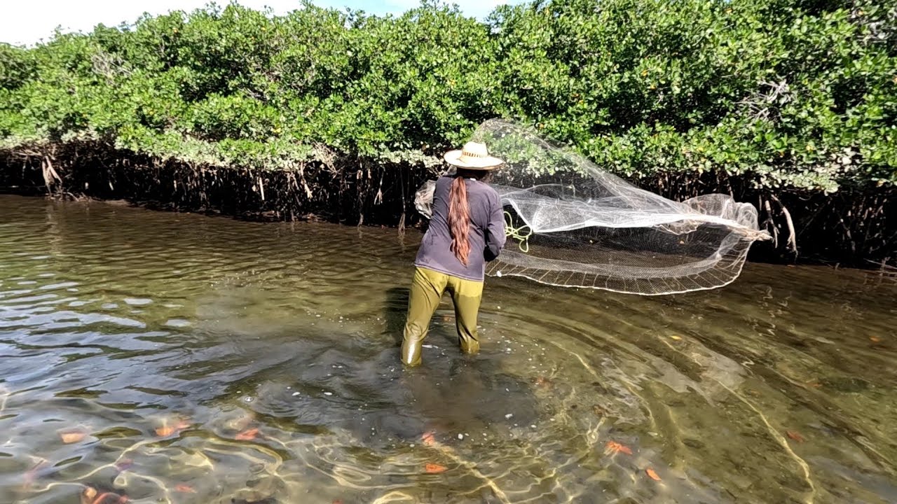 Íbamos por pescado y encontramos Camarón