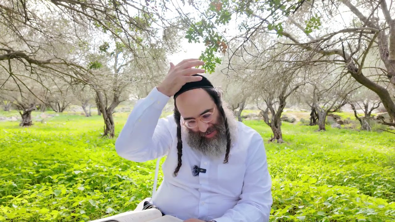 גדולי ישראל בשבח תיקון הכללי