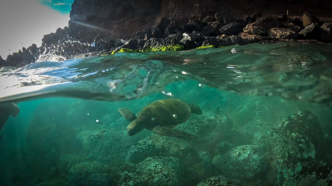 Kaanapali with my boys