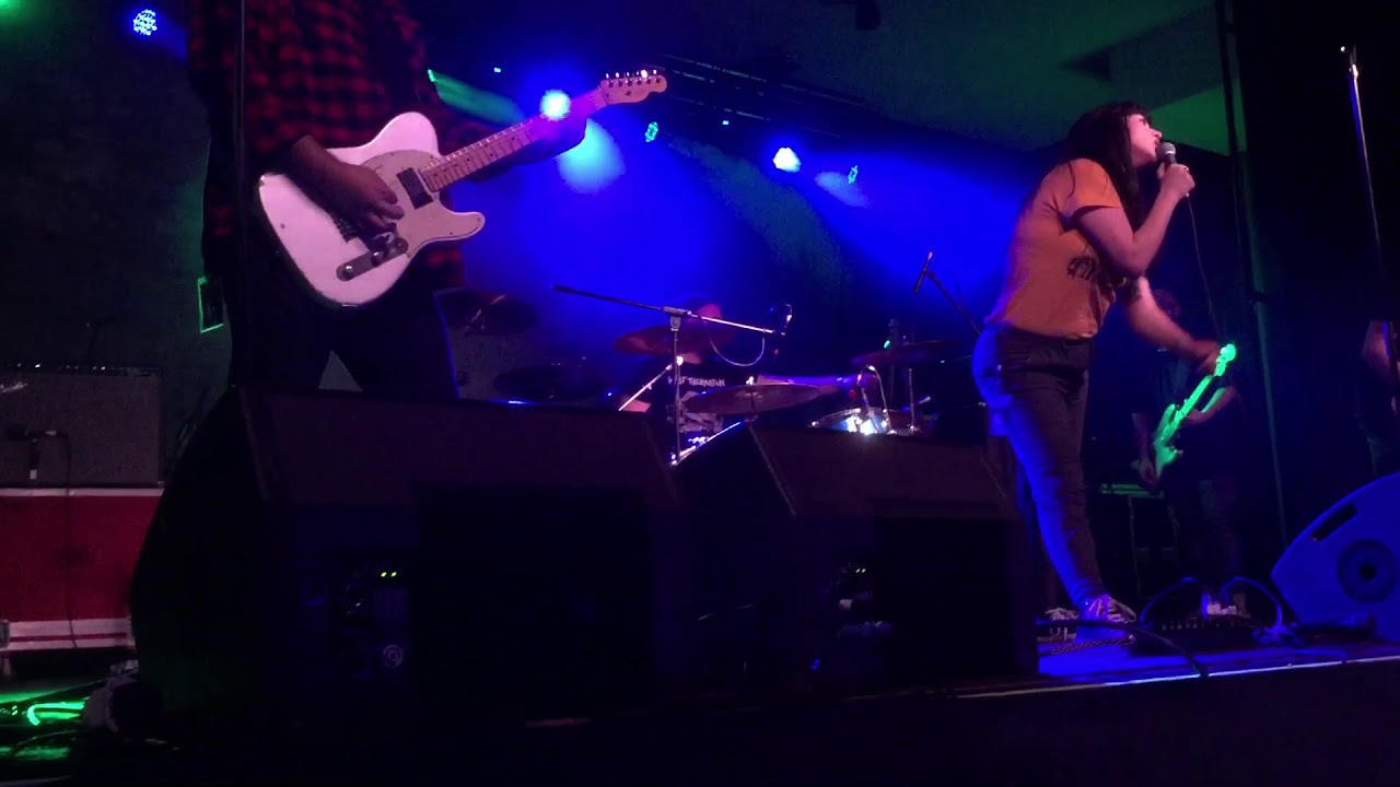 Wax - Labrador - Brisbane 2018