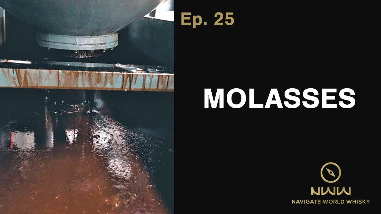 What are Molasses? (ep.25)