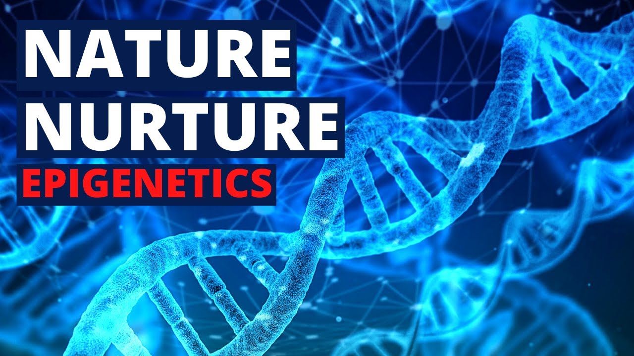 Nature vs Nurture: Epigenetics