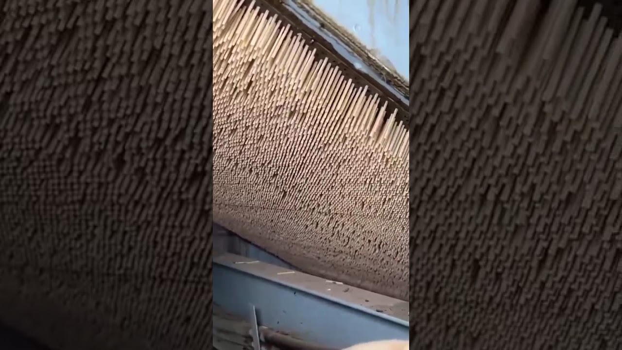 A matchbox costs just one rupee, but how amazing is the manufacturing of matchboxes in a factory?