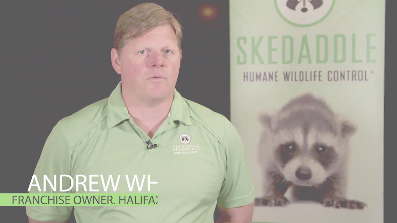 Skedaddle Halifax - Listen to Franchise Owner Andrew Wheelock