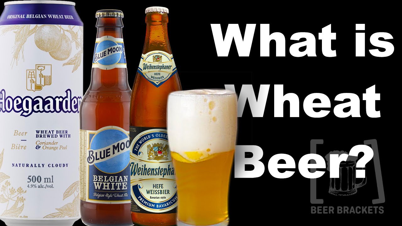 What is Wheat Beer? - Inside the Brackets Ep.11