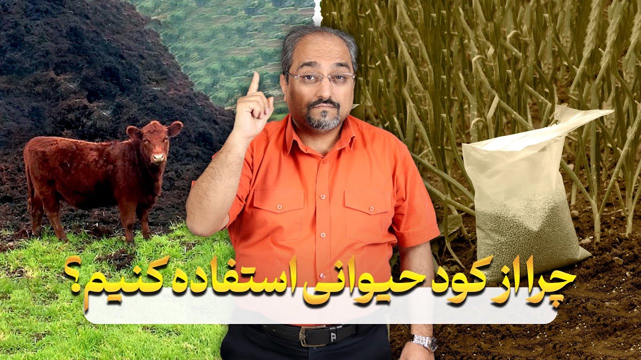 کود حیوانی در باغات چرا استفاده میشود؟