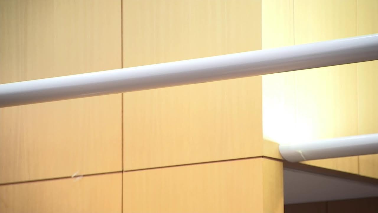 Opening statements begin in trial of man accused of killing valet who interrupted car break-in