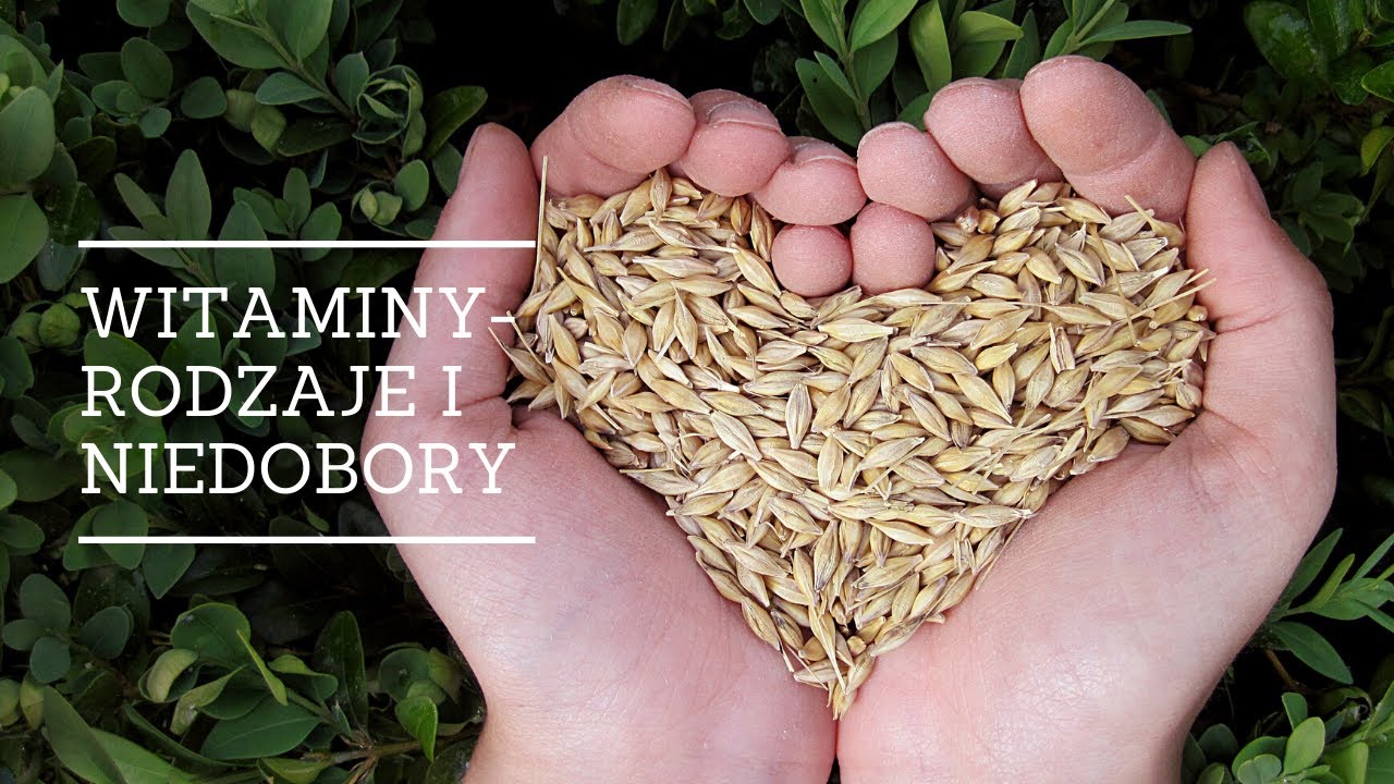 Witaminy