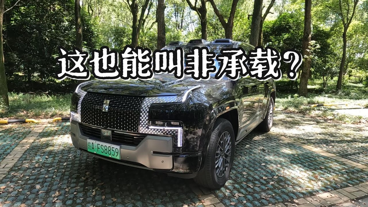国产硬派之巅，仰望U8真的值百万？！