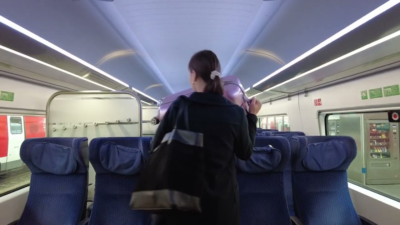 Немецкие поезда - из Ильменау в Гамбург на поезде, Германия, Deutsche Bahn