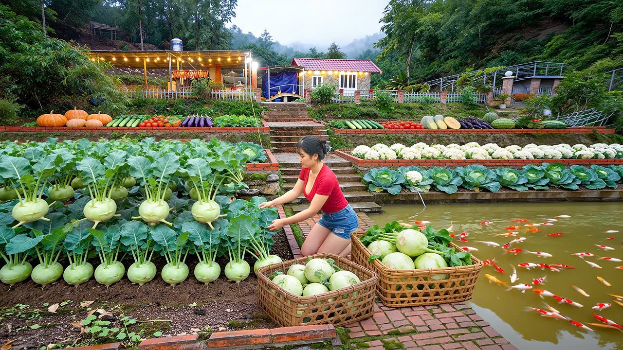 Harvesting Giant Kohlrabi by the Koi Pond: The Most Beautiful Corner of My Farm 