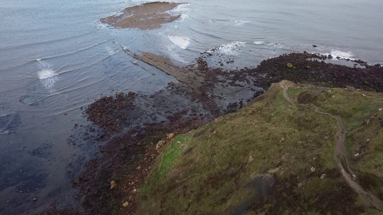 Ravenscar Seal Life by DJI Mavic Mini