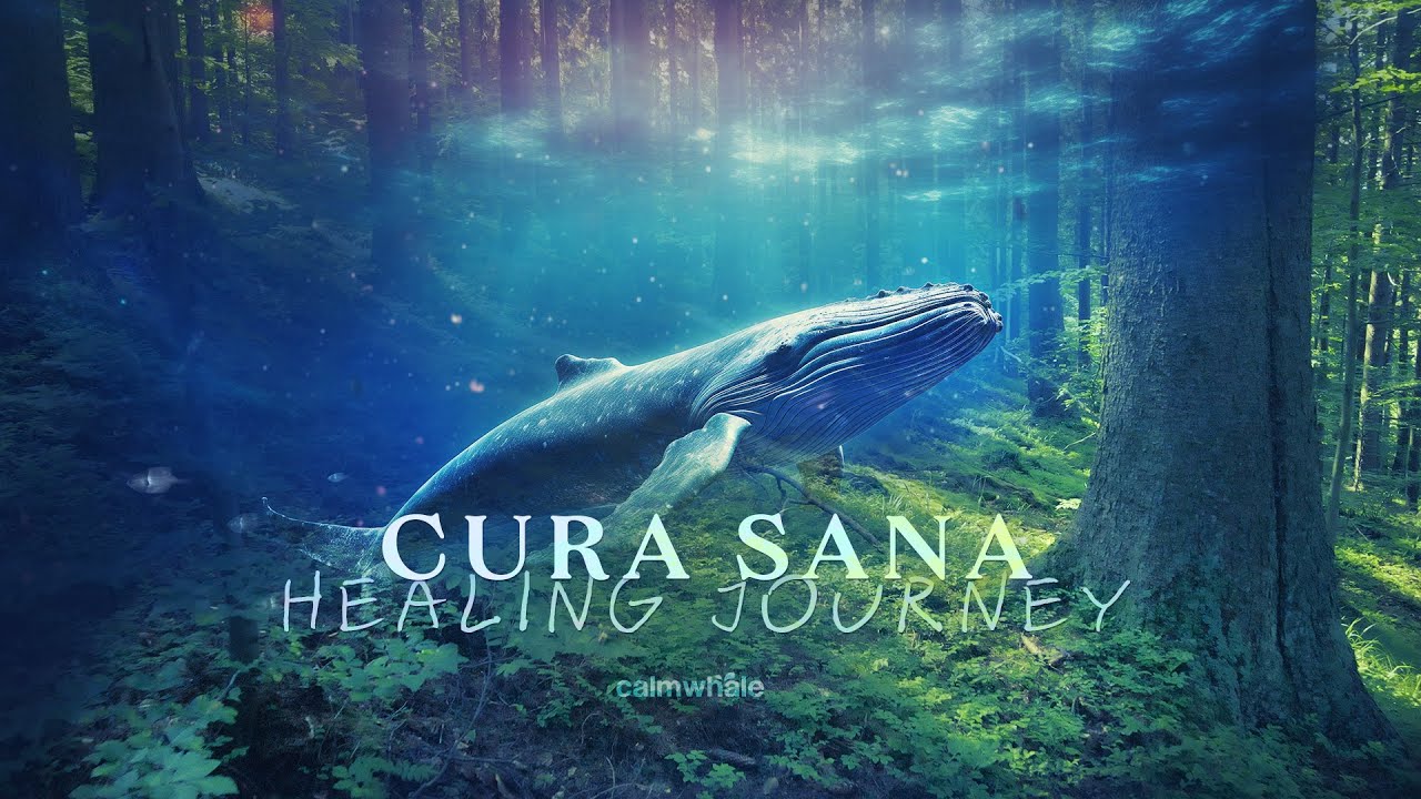 Cura Sana - Powerful Healing Journey - Cura Sana | Calm Whale