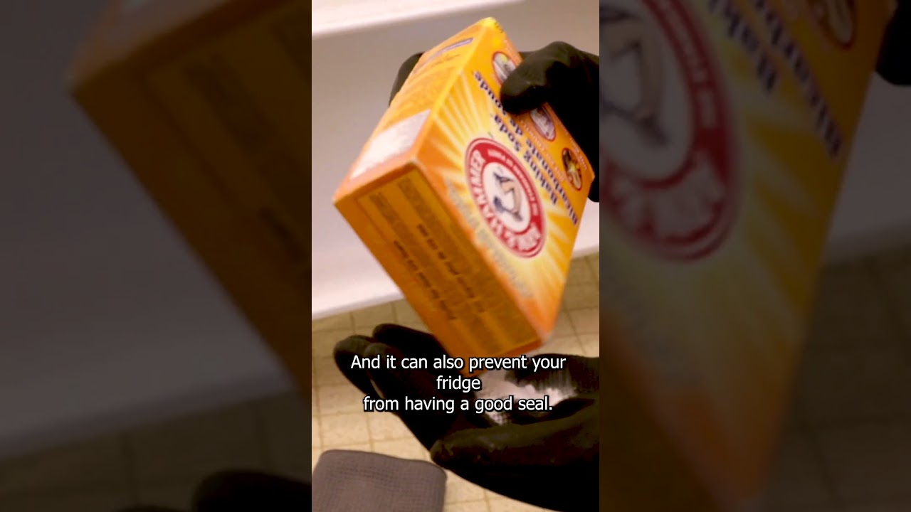 You're RUINING Your Fridge with a Dirty GASKET!