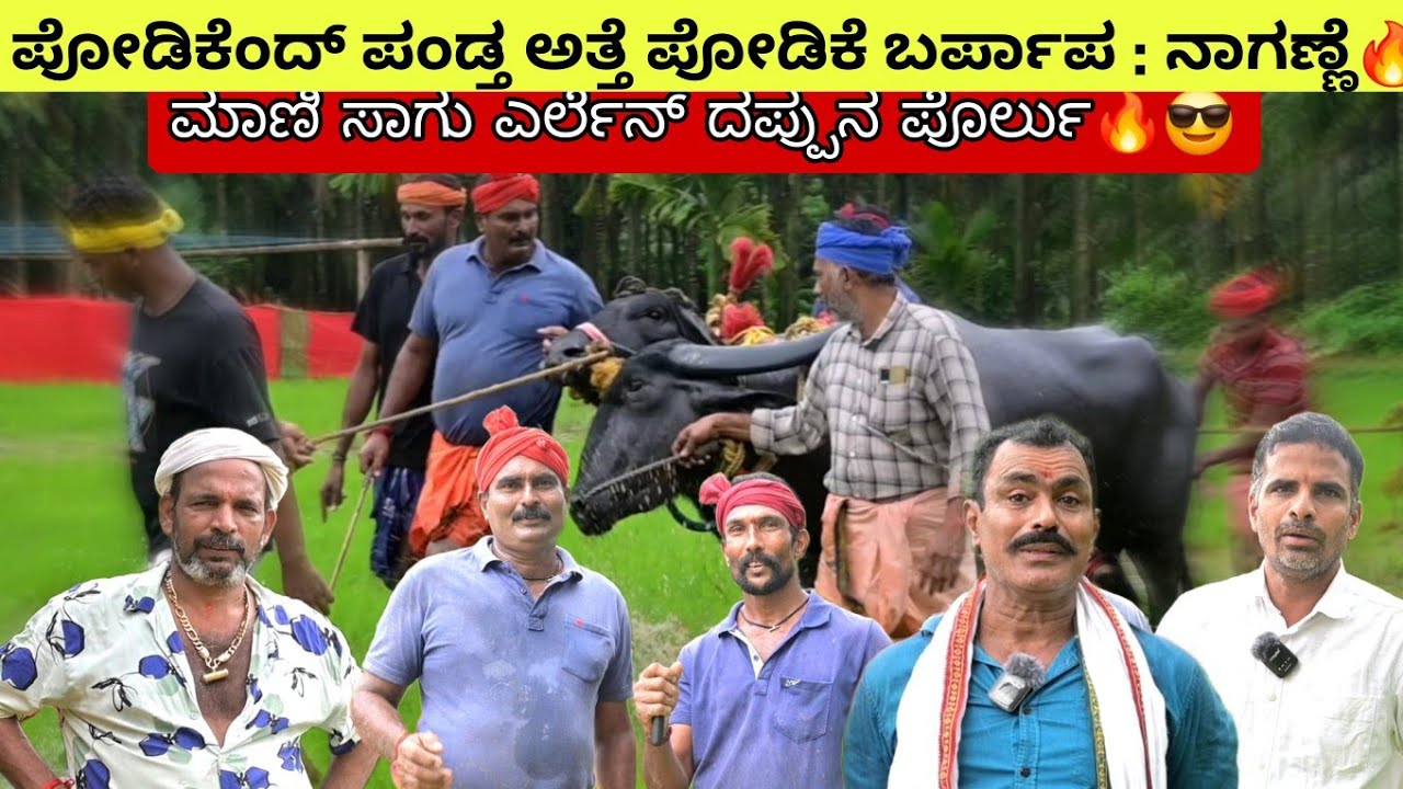 Mani Sagu ಎರ್ಲು Mani Mode, Kaale, Kutti ದಪ್ಪುನ ಪೊರ್ಲು ತೂಲೆ🔥🔥 | Mani Naganne ದಾದ ಪಂಡೆರ್ ತೂಲೆ🔥🔥