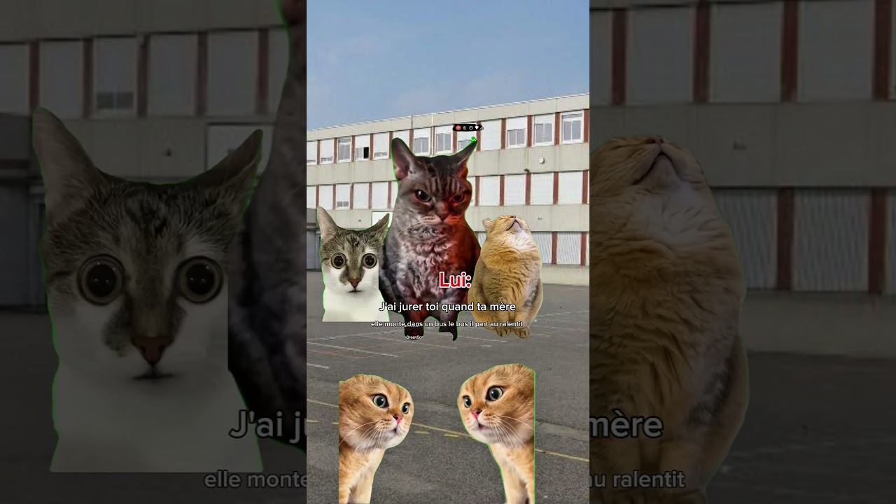 POV : Le clash des collégiens 