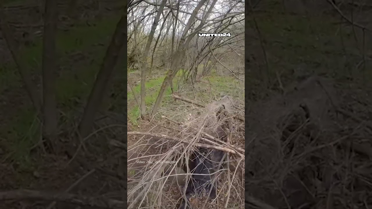 Ukrainian Special Forces Captured Russian Soldiers #warinukraine