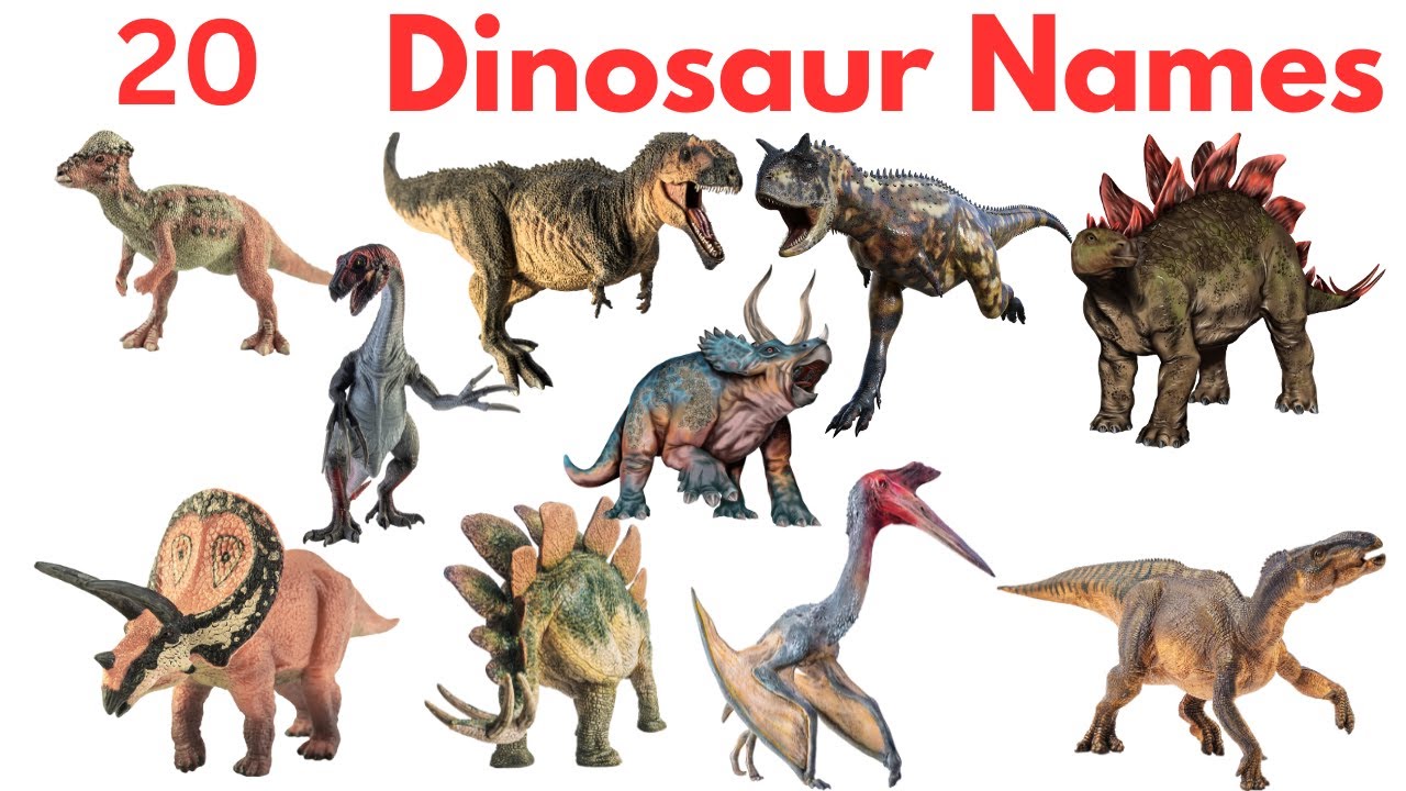 20 डायनासोर के नाम सीखें बच्चों के लिए | Learn 20 Dinosaur Names for Kids Fun Video #kids