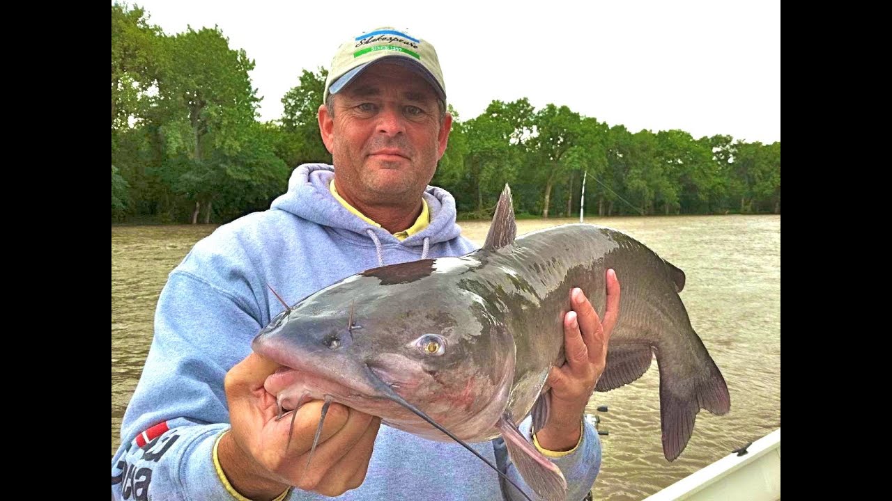 Here is the Best Catfish Rods