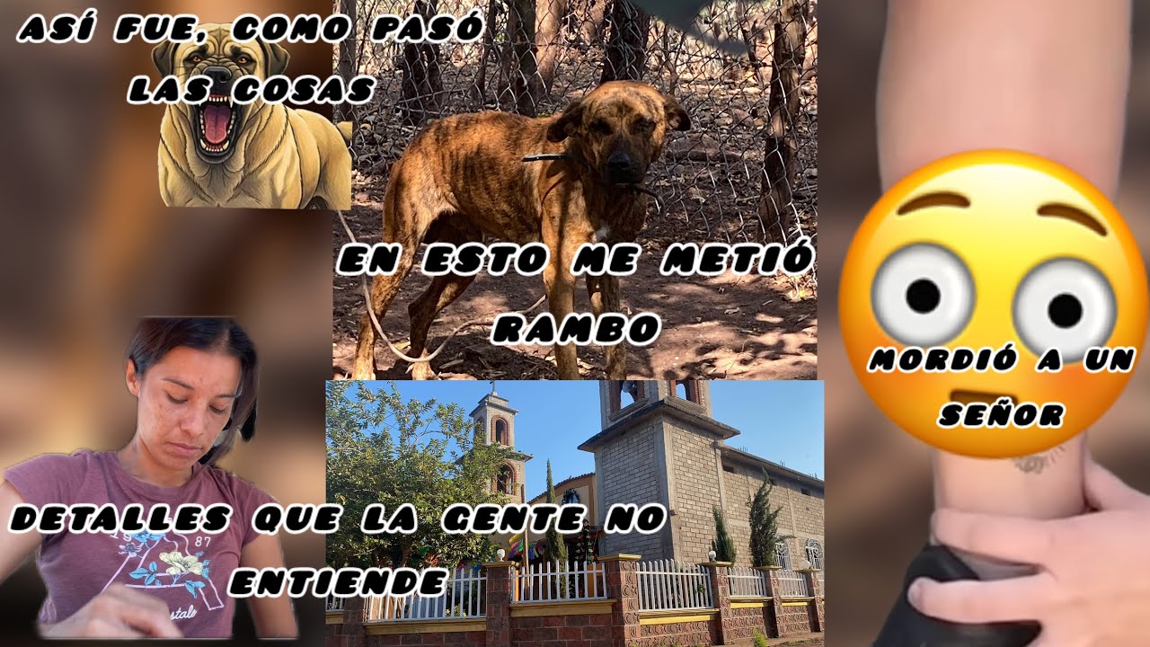 Rambo mordió a una persona😡￼ esto fue lo que me dijo😳😔