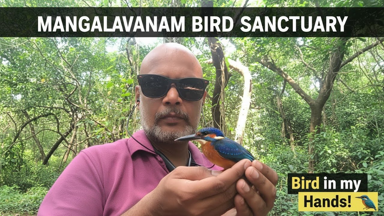 THE BLUE OCEAN TRAVELLER  is live @ Mangalavanam Bird Sanctuary 