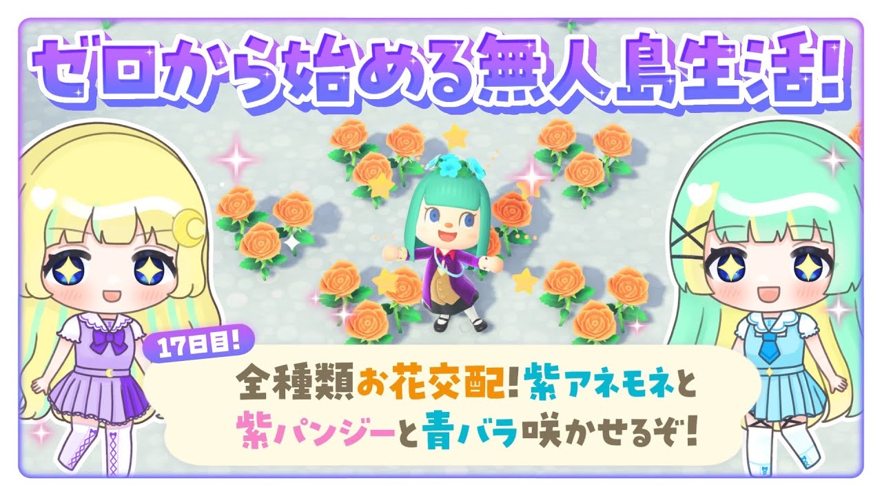 【あつまれどうぶつの森】お花全種類交配させて、青バラと紫パンジーと紫アネモネ咲かせるぞ！ #17  【Lapinna】
