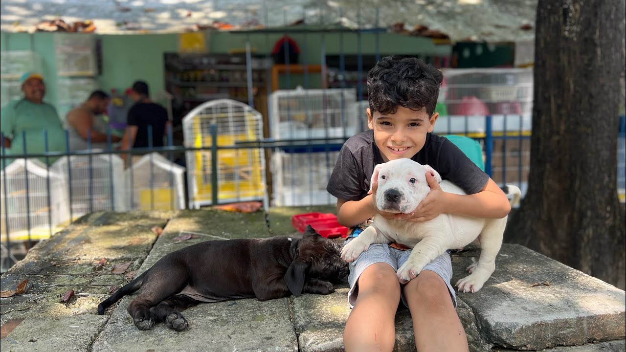 Feira da Madalena Pets, variedades e Mais 27/08/2023