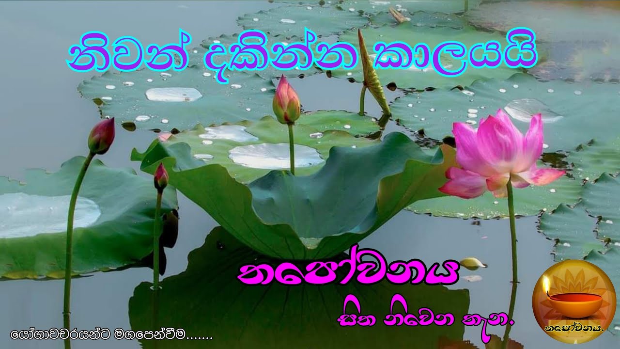 සත්‍යය ධර්මය අසා ගත්කෙනා නියත වශයෙන්ම ආර්ය භූමියට පැමිණෙයි ඒය අවබෝධ කරපු කෙනයි දන්නේ#Thapowanaya 🙏🙏🙏