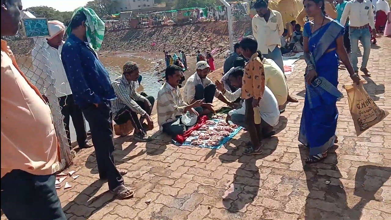 ghodwadi mutten market @sajjadalibidar4834   #ghodwadi_2023_market