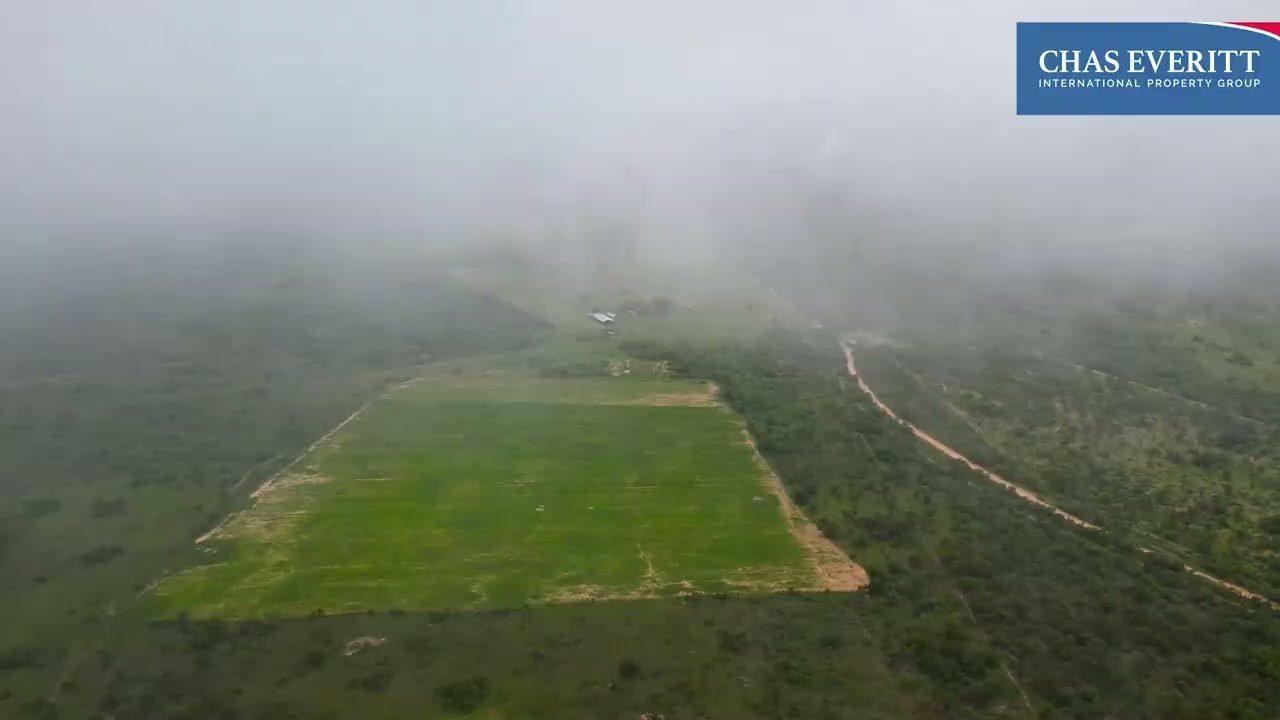 Figtree Farm For Sale