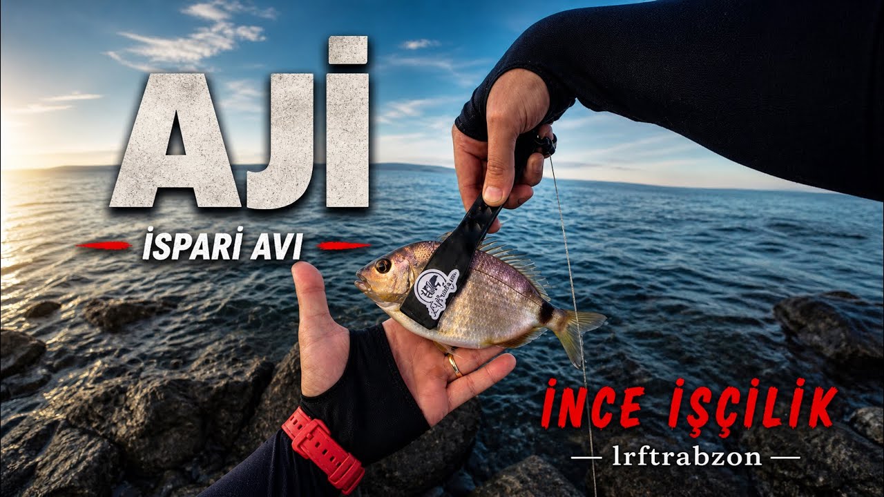 AKŞAM SUYUNDA İSPARİ AJİ TAKIMLA İNCE İŞÇİLİK   #lrf #istavrit #lrfavı #gosen 