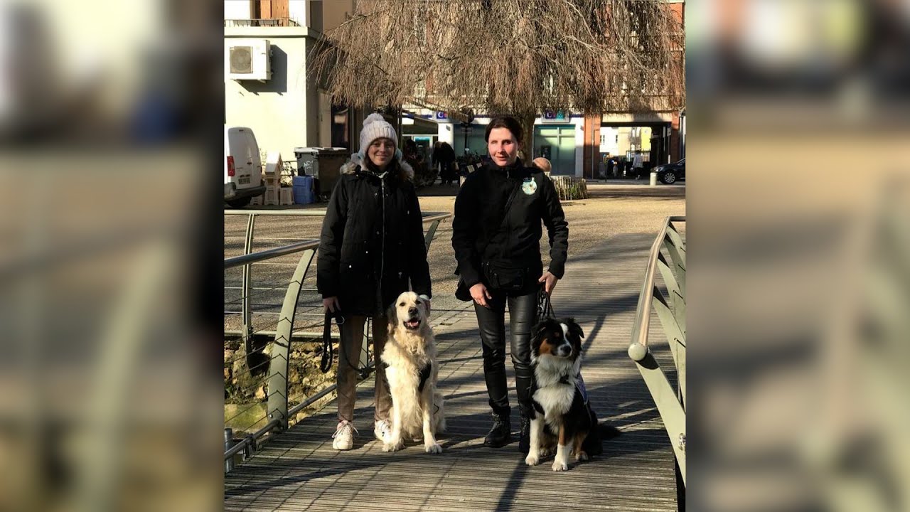 Cyno-Sens, une association au poil spécialisée dans la formation de chiens guide et d'assistance