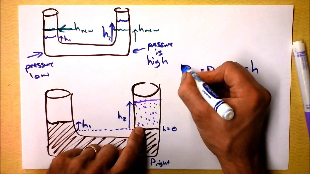Pascal's Principle, Equilibrium, and Why Fluids Flow | Doc Physics