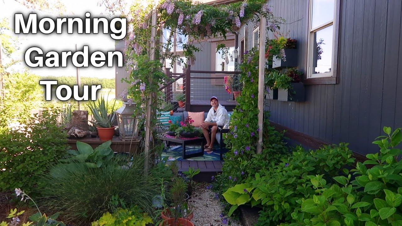 Morning Garden Tour & Walk About/ Kitchen (Potager) Garden