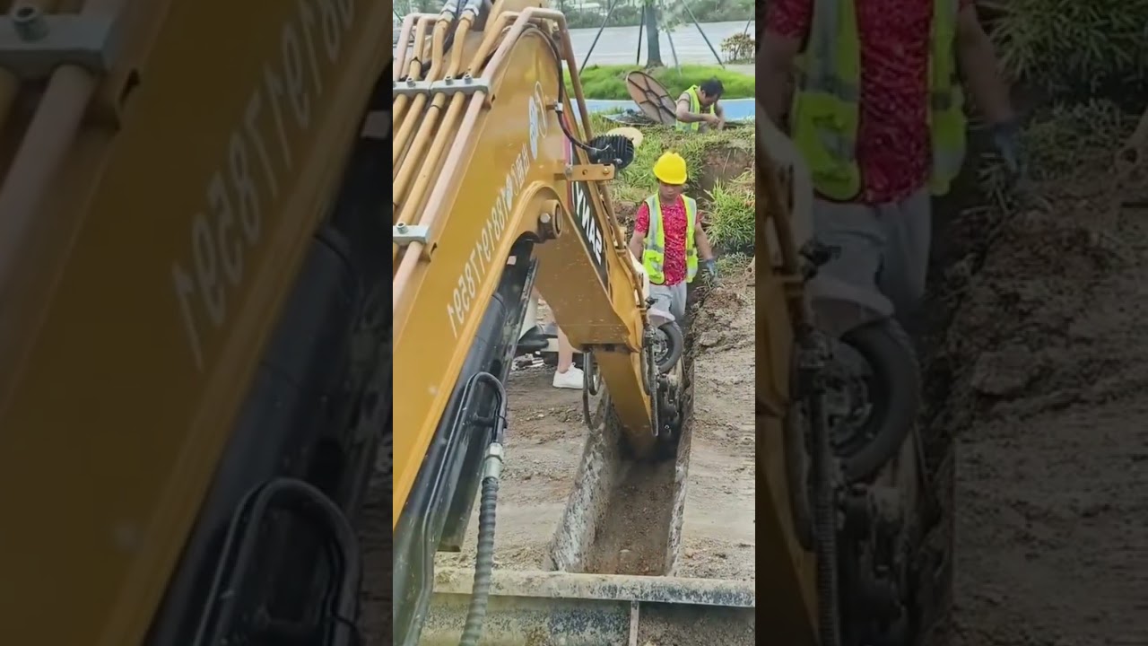 Epic Bike Crossing Transformation From Ordinary Trips to Cranes in Action