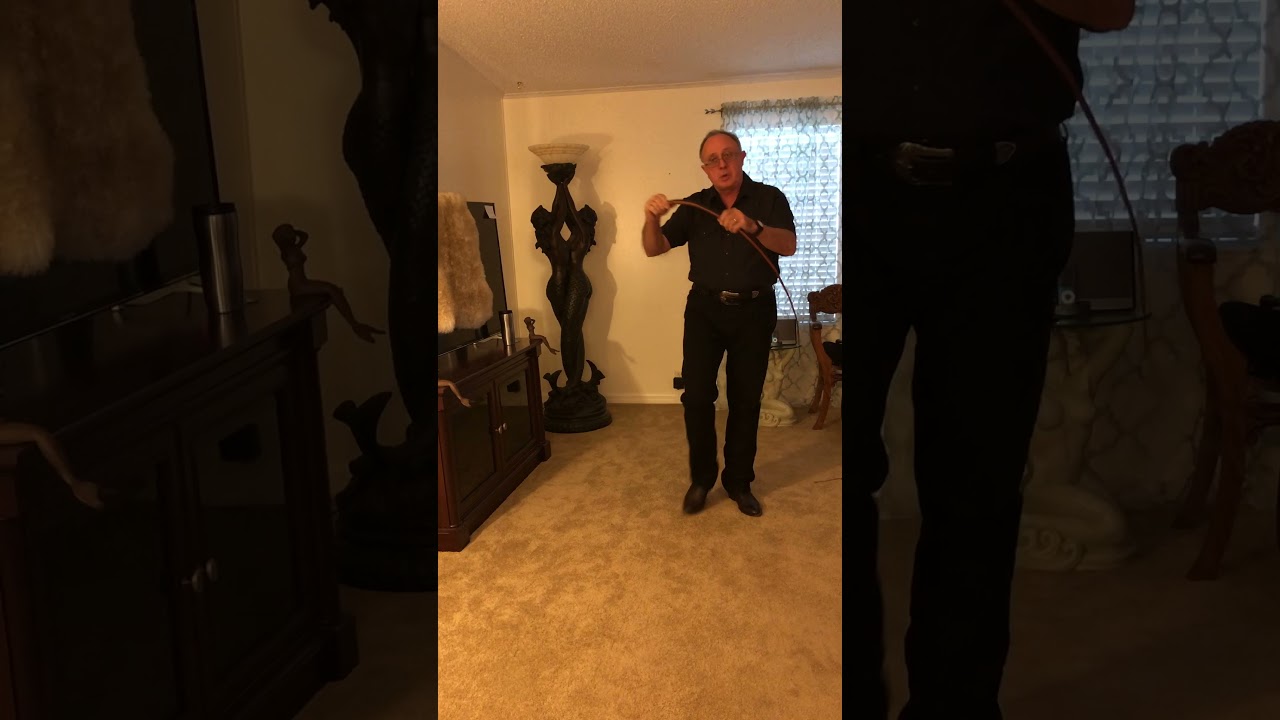 Dog Signal Whips sometimes called Singletails 101
