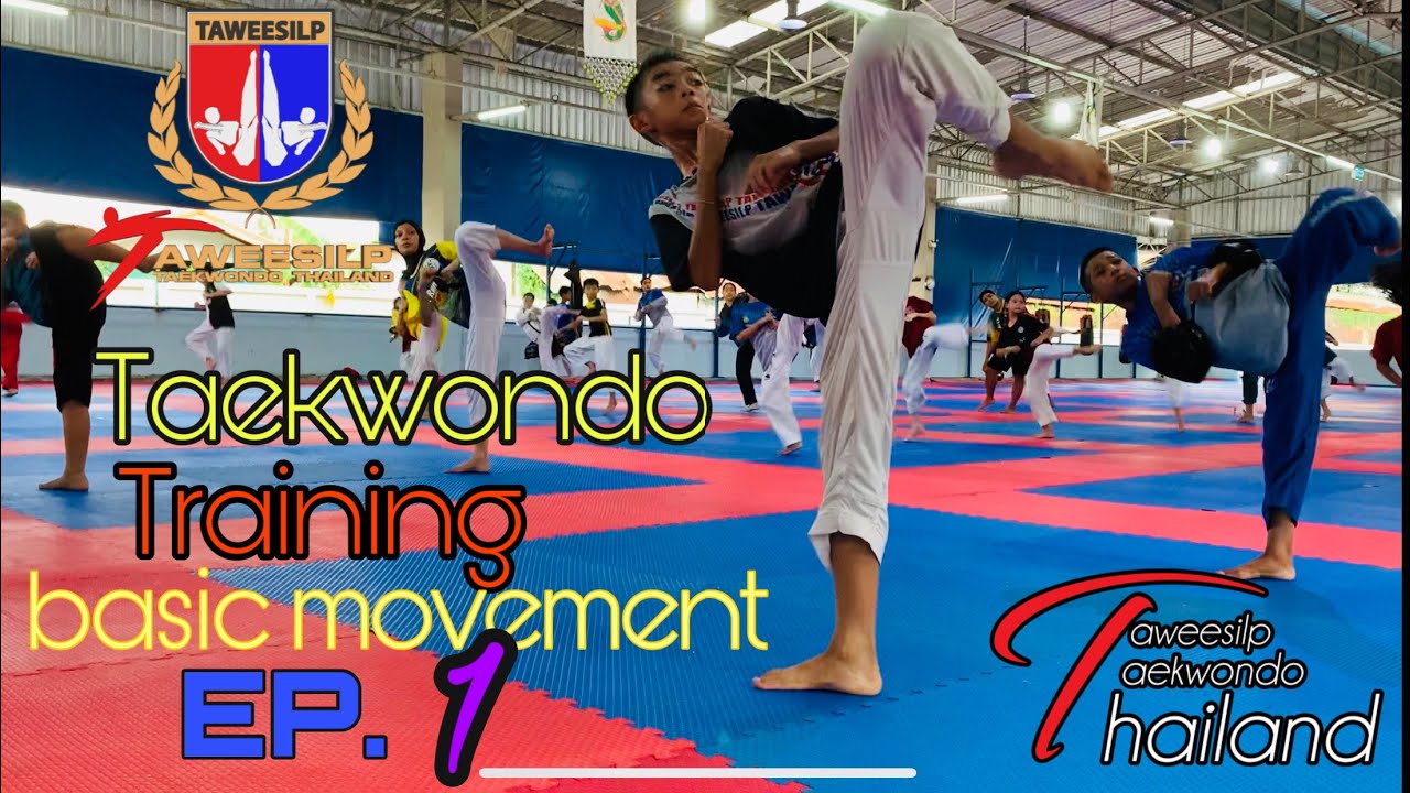 Taekwondo training basic movement Ep.1