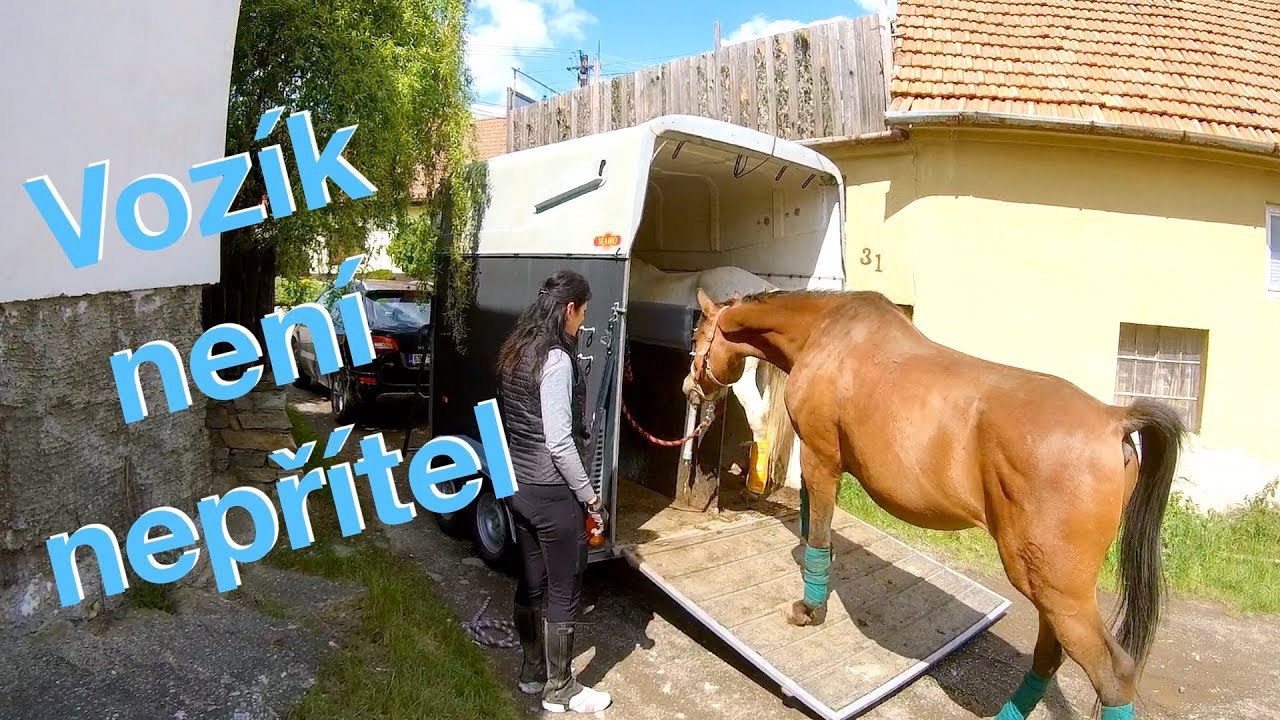 Poprvé sami přepravujeme koně ve vozíku 🐎 Nakládání, vyjížďka, výlet | VLOG