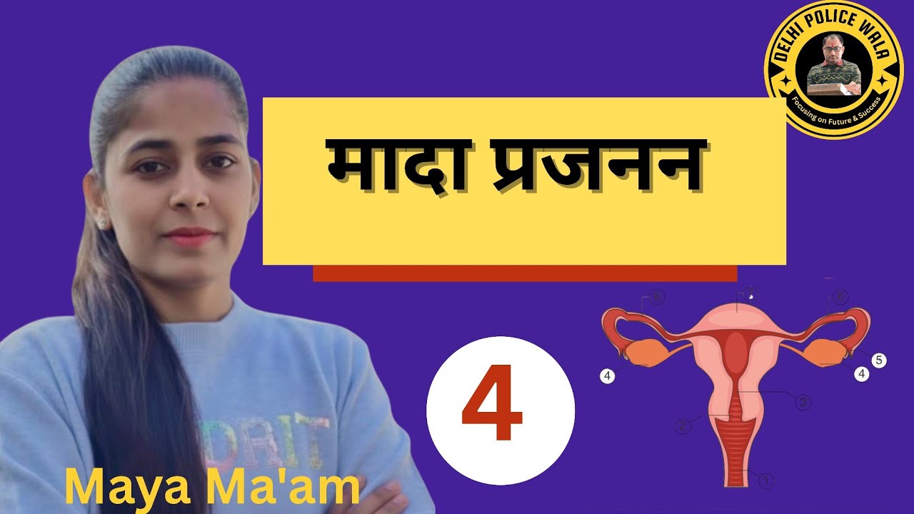 Human Reproduction मानव प्रजनन 🔥 मादा प्रजनन | Last 5 Days GS | SSC DP || By Maya Ma'am 