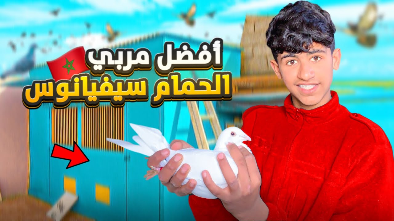 وأخيرا توليعة مع الحمام سيفيانوص 😍وجبت حمام زاجل ديل سباق🏆