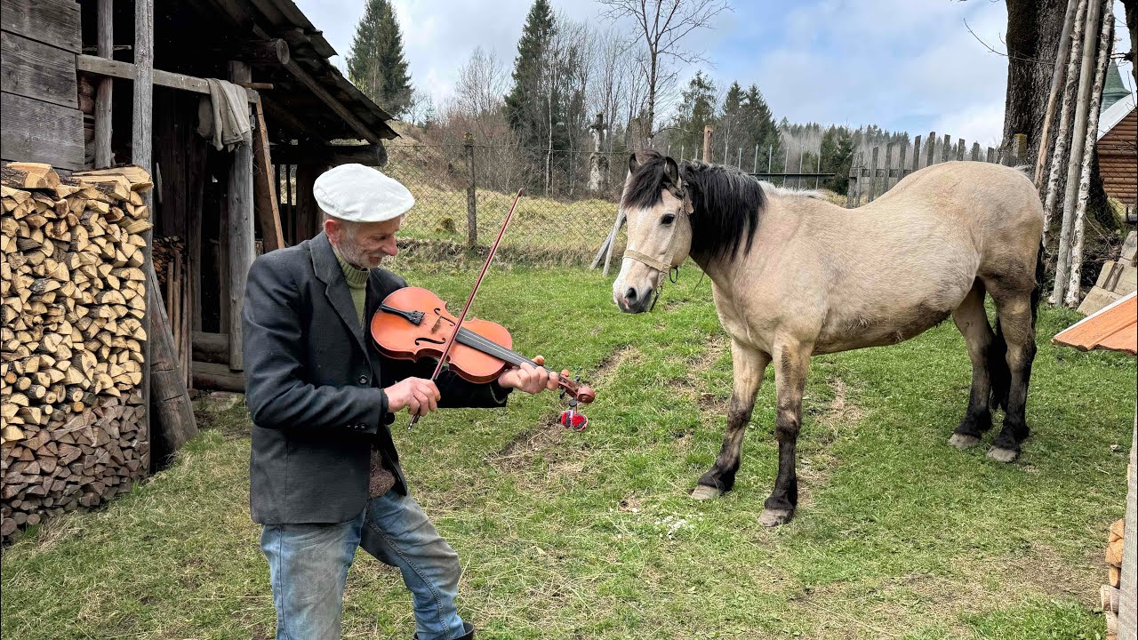 Life in the Carpathians: A Day in the Life of a Mountain Grandpa
