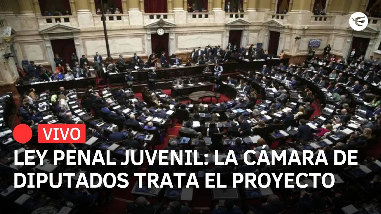 EN VIVO | Debate de la Ley Penal Juvenil