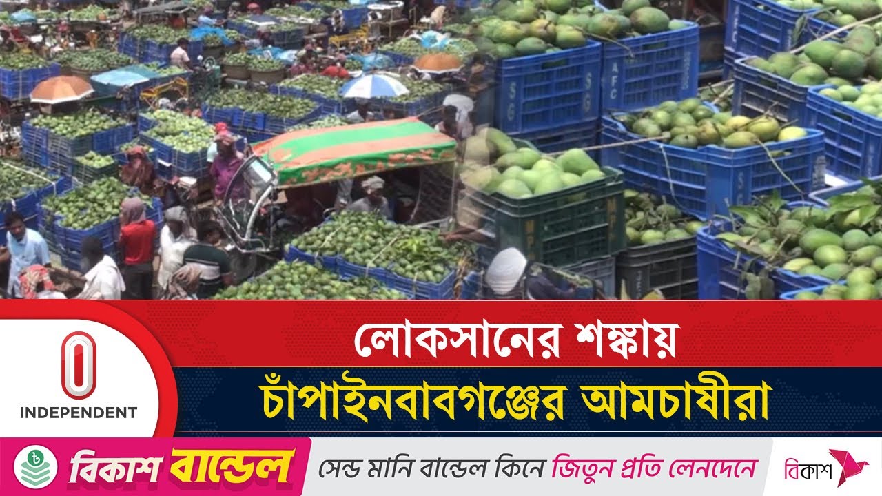 আমের ফলন ভালো হলেও ঈদের ছুটিতে আমের চাহিদা কমায় বিক্রিতে ভাটা | Mango sell | Independent TV