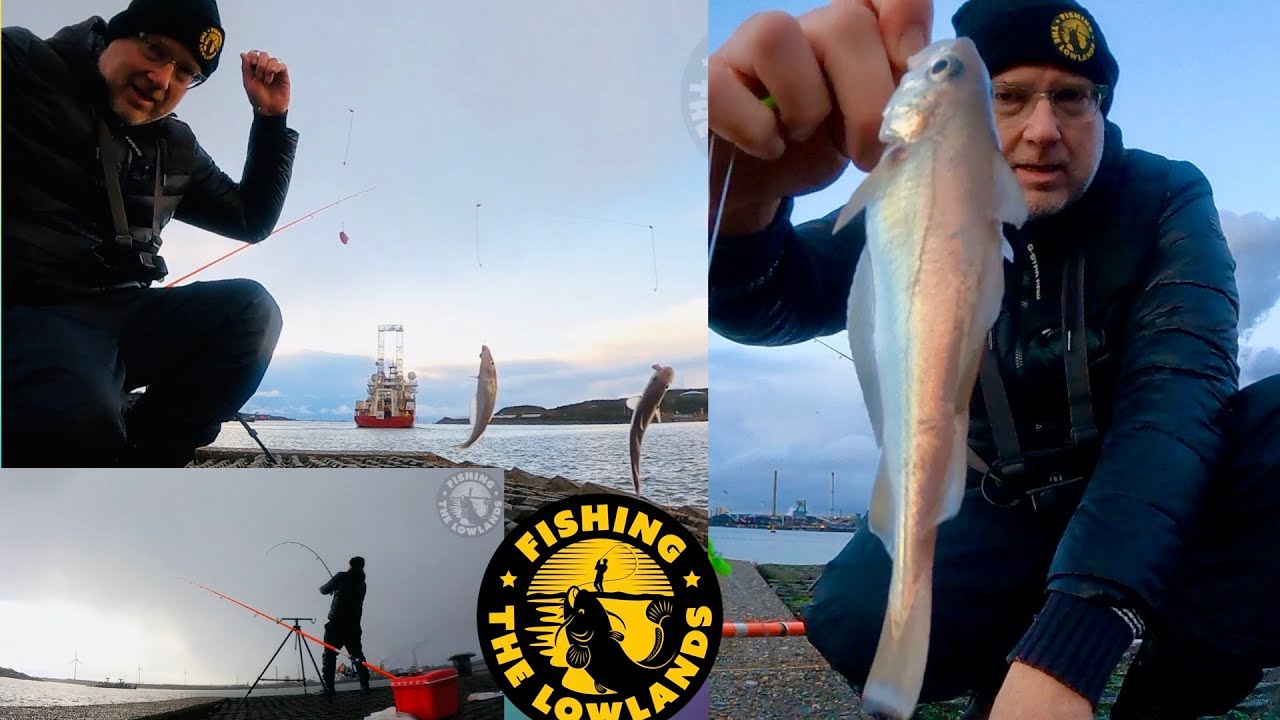 How to, how not to: Zeevissen Noordzee kanaal en IJmuiden met kippenhartjes. FishVlog #178.
